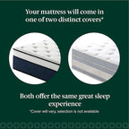 ZINUS 14 Inch Cooling Comfort Support Hybrid Mattress [New Version], Queen, Fiberglass Free, Medium Plush, Cooling Motion Isolation, Certified Safe Foams & Fabric, Mattress in A Box