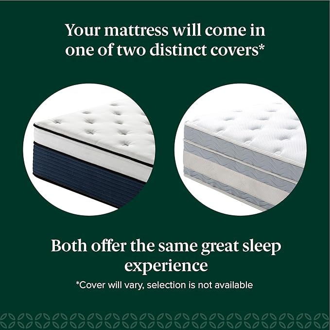 ZINUS 14 Inch Cooling Comfort Support Hybrid Mattress [New Version], Queen, Fiberglass Free, Medium Plush, Cooling Motion Isolation, Certified Safe Foams & Fabric, Mattress in A Box