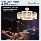 DLLT Caged Ceiling Fan with Lights: 26" Bladeless Fandelier with Light and Remote - Cement Industrial Chandelier Fan Light for Bedroom Living Dining Room Kitchen