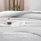 Litanika Comforters Light Grey Oversized Queen Size, 3 Pieces Lightweight Solid Bedding Comforter Set, All Season Fluffy Bed Set (98x98In Comforter & 2 Pillowcases)