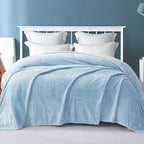 Exclusivo Mezcla Fleece Queen Size Blanket for Bed, 90x90 Inches Soft Cozy Jacquard Flannel Blankets, Lightweight Fuzzy Plush Warm for Winter, Light Blue