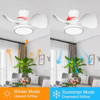 ocioc Quiet Ceiling Fan with LED Light 22 inch Large Air Volume Remote Control for Kitchen Bedroom Dining Room Patio