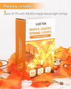 Luditek 8 Lighting Modes & Timer Fall Decorations for Home Maple Leaf Garland with Lights 40LED Battery Operated Waterproof String Lights, Thanksgiving Halloween Fall Decor Indoor Outdoor Autumn