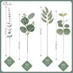 Serwalin 300 pcs Artificial Mixed Eucalyptus Leaves Stems Bulk, 4 Kinds Silver Dollar Eucalyptus Leaves Picks,Faux Greenery Stems Sprays for DIY Bouquets Floral Arrangement Home Decor