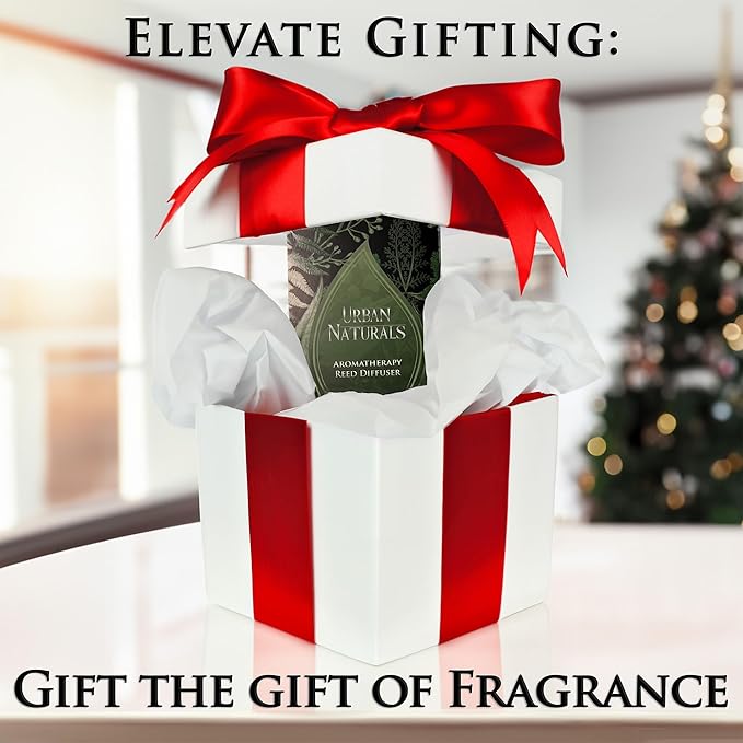 Urban Naturals Christmas Morning Reed Diffuser Set – Aromatic Rosemary, Eucalyptus, Balsam Spruce, Orange, Cedar & Amber – Sleek Rectangular Refillable Glass Bottle – Made in The USA
