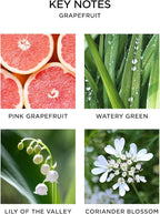 NEST New York Smart Home Fragrance Diffuser Refill Smart Vials, Grapefruit - Set of 2 - Designed for NEST x Pura 3 and NEST x Pura 4 Diffusers - Cruelty Free, Vegan