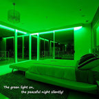 Green Rope Lights,16ft Waterproof, Connectable and Flexible LED Strip Lights with Advanced LEDs and Crystal-Clear Thick PVC Jacket, High Brightness, Great for Deck Pergola Handrail Bedroom