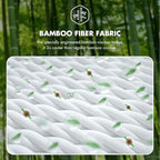 Queen Mattress 12 Inch Hybrid Mattress Queen in a Box with Bamboo Cover - Memory Foam Mattress with Strong Support and Motion Isolation - Medium Firm Mattress with Pocket Springs