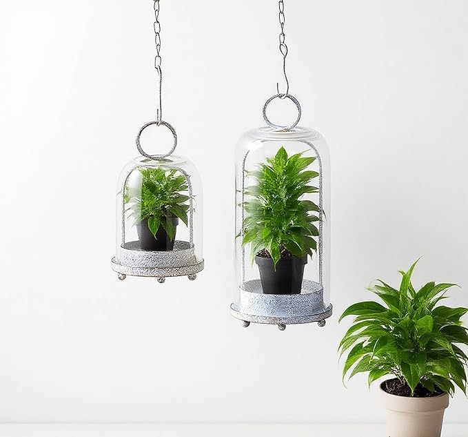 5" & 4" Wide Versatile Metal Candle Holder in Shabby White with Handmade Thick & Sturdy Glass Dome Cover for Pillar Candle & Plants, Farmhouse, Shabby Chic Style (2, White Shabby, Large & Small)