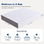 Amazon Basics Memory Foam Mattress, Medium Firm, 12 Inch, King, White/Grey, 80" L x 76" W x 12" Th