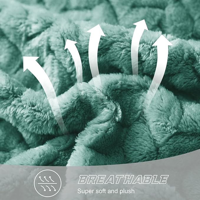 Exclusivo Mezcla Fleece Queen Size Blanket for Bed, 90x90 Inches Soft Cozy Jacquard Flannel Blankets, Lightweight Fuzzy Plush Warm for Winter, Celadon