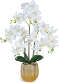 Ziwon Artificial Orchid Flowers & Plants Potted in Ceramic Pot, White Faux Phalaenopsis Orchids for Table Centerpiece, Realistic Fake Flower Arrangement for Home Office Decor Indoor