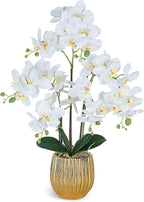 Ziwon Artificial Orchid Flowers & Plants Potted in Ceramic Pot, White Faux Phalaenopsis Orchids for Table Centerpiece, Realistic Fake Flower Arrangement for Home Office Decor Indoor