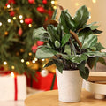 2 Pcs Magnolia Artificial Leaves Branches 32 Inch 3D Real Touch Pick with Fruit Faux Magnolia Stems Fake Twigs for Indoor Outdoor Vase Home Wedding Floral Arrangement Decoration