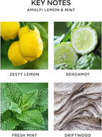 NEST New York Smart Home Fragrance Diffuser Refill Smart Vials, Amalfi Lemon & Mint - Set of 2 - Designed for NEST x Pura 3 and NEST x Pura 4 Diffusers - Cruelty Free, Vegan