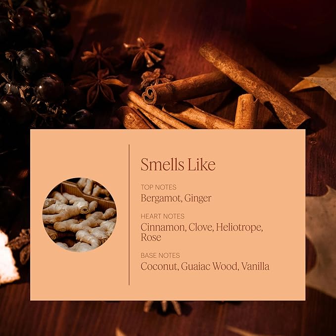 Aera Mini Pumpkin Spice Home Fragrance Scent Refill - Notes of Pumpkin, Clove and Vanilla - Works with Aera Mini Diffuser - Limited Edition