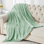 BEDELITE Fleece Blankets Queen Size Mint Green Throw Blankets for Bed, Luxury Plush Cozy Fuzzy Blanket 90x90 inches, Super Soft Warm Lightweight Throw Blanket All Seasons Suitable