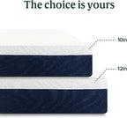 ZINUS 10 Inch Queen Cooling Comfort Hybrid Mattress [New Version], Fiberglass Free, Medium Firm Feel, Motion Isolation, Certified Safe Foams & Fabric