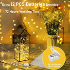 12 Pack Valentine's Day Fairy Lights Battery Operated, 3 Speed Modes, Extra 12 Batteries for Replacement, 7Ft 20 LED Mini String Light, Waterproof Copper Wire, Twinkle Firefly Lights for Christmas