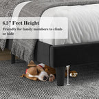 Allewie Queen Bed Frame/Velvet Upholstered Bed Frame with Vertical Channel Tufted Headboard/Strong Wooden Slats/Platform Bed Frame/Mattress Foundation/Box Spring Optional/Easy Assembly/Black