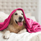 BEDELITE Fleece Blankets Queen Size Hot Pink Throw Blankets for Bed, Luxury Plush Cozy Fuzzy Blanket 90x90 inches, Super Soft Warm Lightweight Throw Blanket All Seasons Suitable