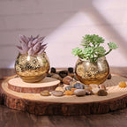 Gold Mercury Glass Votive Candle Holders Set of 12, Round Tealight Candle Holders Bulk for Table Centerpieces, Weddings, Shower Gifts, Christmas, Halloween Party Decorations