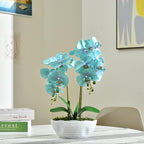 Large Artificial Potted Orchid Plant, Silk Flower Arrangement with Ceramics Vase, Golden Blue