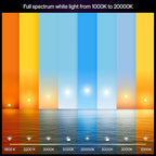 Philips Hue Smart LED A19 Bulb, White & Color Ambiance, E26 Base, 7.2W, Full Spectrum Light 1000K-20000K, 810 Lumens, Dimmable, Works with Alexa, Google,& Apple Home, 4pk