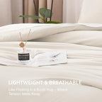 Litanika Oversized King Comforter 120x120, 3 Pieces Beige Lightweight Solid Bedding Comforter Set, All Season Fluffy Bed Set (1 Comforter & 2 Pillowcases)
