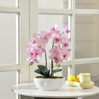 Large Artificial Potted Orchid Plant, Silk Flower Arrangement with Ceramics Vase, Pink Shades