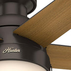 Hunter 59268 Anslee Indoor Low Profile Ceiling Fan with LED Light and Pull Chain Control, 46", Brown