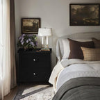 BOLUO Black Nightstands Set of 2, 2 Drawer Dresser for Bedroom Night Stand Small Nightstands End Table with Fabric Drawers Modern