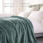 Exclusivo Mezcla Plush Fuzzy Fleece Bed Blanket Queen Size, Super Soft, Fluffy and Warm Blankets Suitable for All Seasons (Celadon, 90x90 Inches)
