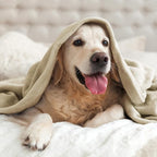 BEDELITE Fleece Blanket Full Size Linen Throw Blankets for Couch & Bed, Luxury Plush Cozy Fuzzy Blanket 84x90 inches, Super Soft Warm Lightweight Throw Blanket for Travel Camping