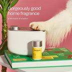 Aera True Loves Alpine Cedar - Deodorizing Home Fragrance Scent Refill for Pet Odor - Notes of Juniper, Cedarwood & Jasmine - 12.5mL - For Use With Aera Diffuser (Sold Separately)