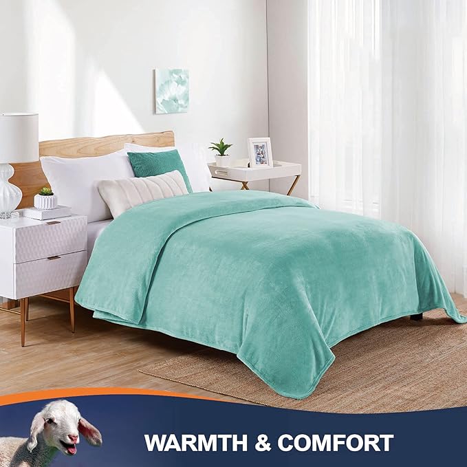 Walensee Fleece Blanket Plush Throw Fuzzy Lightweight (XL-Twin Size 66x90 Light Blue) Super Soft Microfiber Flannel Blankets for Couch, Bed, Sofa Ultra Luxurious Warm and Cozy for All Seasons