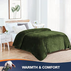 Walensee Fleece Blanket Plush Throw Fuzzy Lightweight (Queen Size 90x90 Olive Green) Super Soft Microfiber Flannel Blankets for Couch, Bed, Sofa Ultra Luxurious Warm and Cozy for All Seasons
