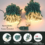ODEETRONIC Steady & Blink Clear Christmas Lights, 21.63ft 100 Count Incandescent Christmas Lights, 2 Modes UL Certified Warm Clear Light, Connectable Mini Tree Light for Room Wedding Party, Green Wire