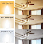 SHINESTAR 12-Pack Candelabra 40W Equivalent LED Light Bulbs, 2700K Warm White Ceiling Fan Lightbulbs, Type B Small E12 Base, 5W B11 Chandelier Bulb, C37 Candle Lights, Non-dimmable