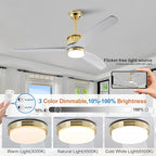 BOJUE 52 Inch Solid Wood Gold Ceiling Fans with Lights and Remote, Reversible Quite DC Motor,6 Speeds with Memory Program,Modern Farmhouse Ceiling Fan with Light for Living Room Patio