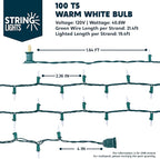 Joiedomi Clear Christmas String Lights Indoor,300(3x100) Mini Warm White Fairy Light,64.2 FT Lighting Decor for Patio Dorm Classroom Bedroom Holiday Wedding Party Garland Birthday Festival,Green Wire