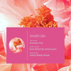AERA Rose - Essential Oil for Home - Fresh and Sensuous Fragrance - Notes of Himalayan Rose, Linden and Peony - Scent Refill - Works with The Diffuser