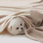BEAUTEX Fleece Throw Blanket for Couch Sofa or Bed Throw Size, Soft Fuzzy Plush Blanket, Luxury Flannel Lap Blanket, Super Cozy and Comfy for All Seasons (Ivory, 50" x 60")