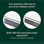 ZINUS 12 Inch True Support Hybrid Mattress [New Version], Full, Fiberglass Free, Medium Feel, Motion Isolation, Certified Safe Foams & Fabric, Mattress in A Box
