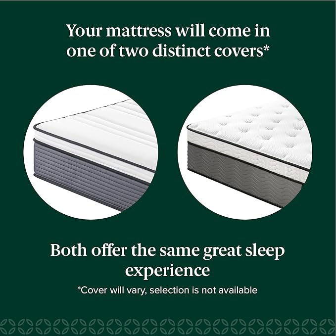 ZINUS 12 Inch True Support Hybrid Mattress [New Version], Full, Fiberglass Free, Medium Feel, Motion Isolation, Certified Safe Foams & Fabric, Mattress in A Box