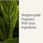 Pura and Allos - Fragrance Refill for Smart Home Air Diffusers - Aromatherapy Scents for Home - up to 120-Hours of Premium Fragrance per Vial - 2 Pack - Mint Leaves (Focus)