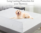 2-Pack Zippered Mattress Encasement Twin XL - Waterproof, All Six Sided, Fits Twin XL Size Mattress Cooling Cover - Premium Quality, Noiseless & Absorbent Cover
