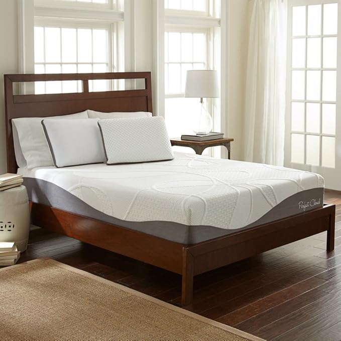 Perfect Cloud Made in The USA UltraPlush Charcoal-Infused 10 inch Memory Foam Mattress - Pressure Relieving - Bed-in-a-Box (Queen)