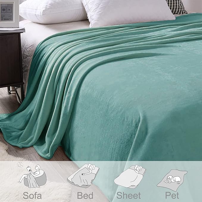 Exclusivo Mezcla Fleece Blanket Queen Size for Bed, Super Soft and Warm, All Season Use, Cozy, Plush, Lightweight, 90x90 Inches, Celadon