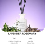 M&SENSE Minimalist Large Reed Diffuser 300ml, Lavender Rosemary Scented with Natural Essential Oils, Long Lasting with 7 Sticks, Non-Toxic Home Fragrance for Bedroom, Bathroom Decor